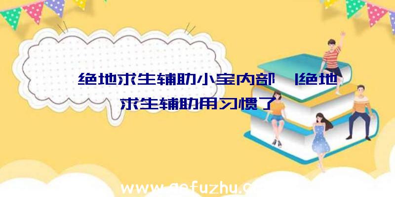 「绝地求生辅助小宝内部」|绝地求生辅助用习惯了